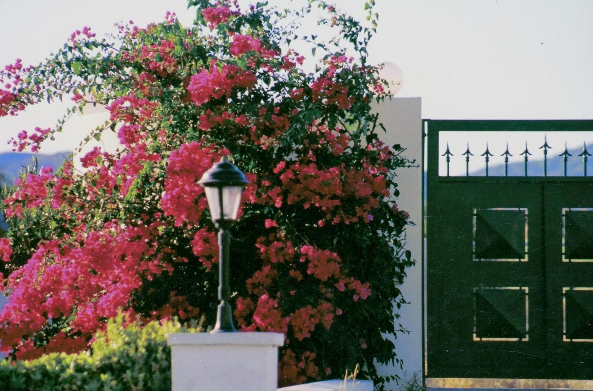 Beachfront Villa Rhodes Seashell Gennadi Esterno foto
