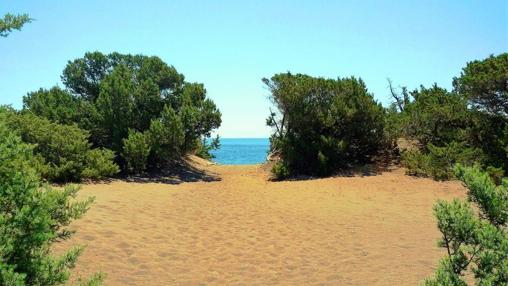 Beachfront Villa Rhodes Seashell Gennadi Esterno foto